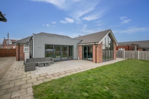 THE CONIFERS- click for photo gallery